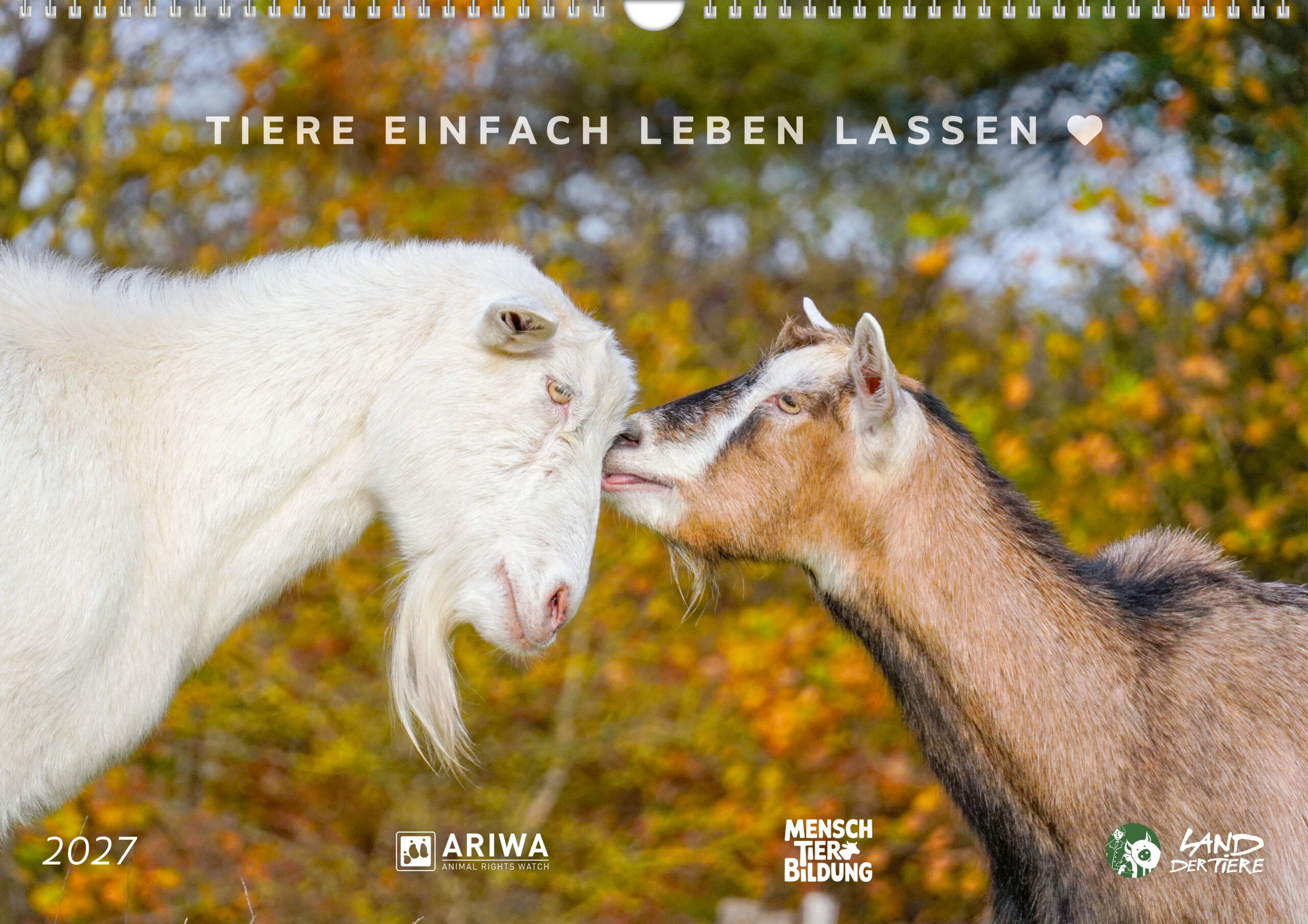 Coverfoto des Wandkalenders. Zwei Ziegen berühren sich sanft mit den Köpfen. Im Hintergrund ist herbstliches Laub zu sehen. Am oberen Rand steht der Schriftzug Tiere einfach leben lassen. Am unteren steht die Zahl 2027. Ebenfalls am unteren Rand sind die Logos von Animal Rights Watch, Mensch Tier Bildung und Land der Tiere.
