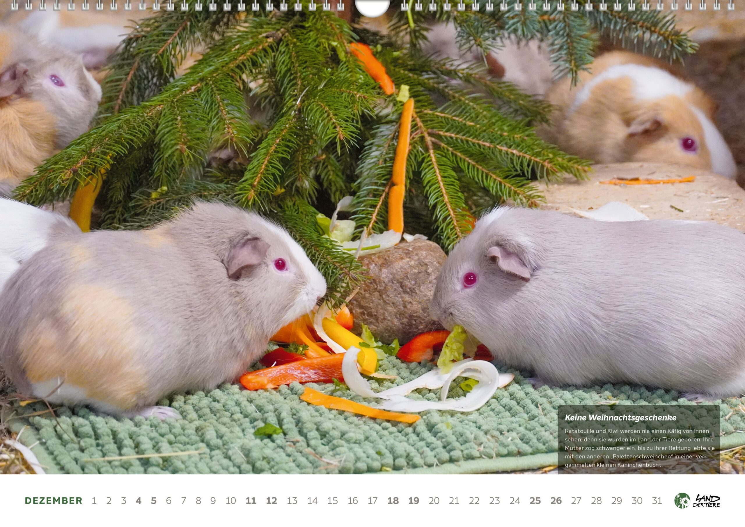 Kalenderblatt Dezember 2027