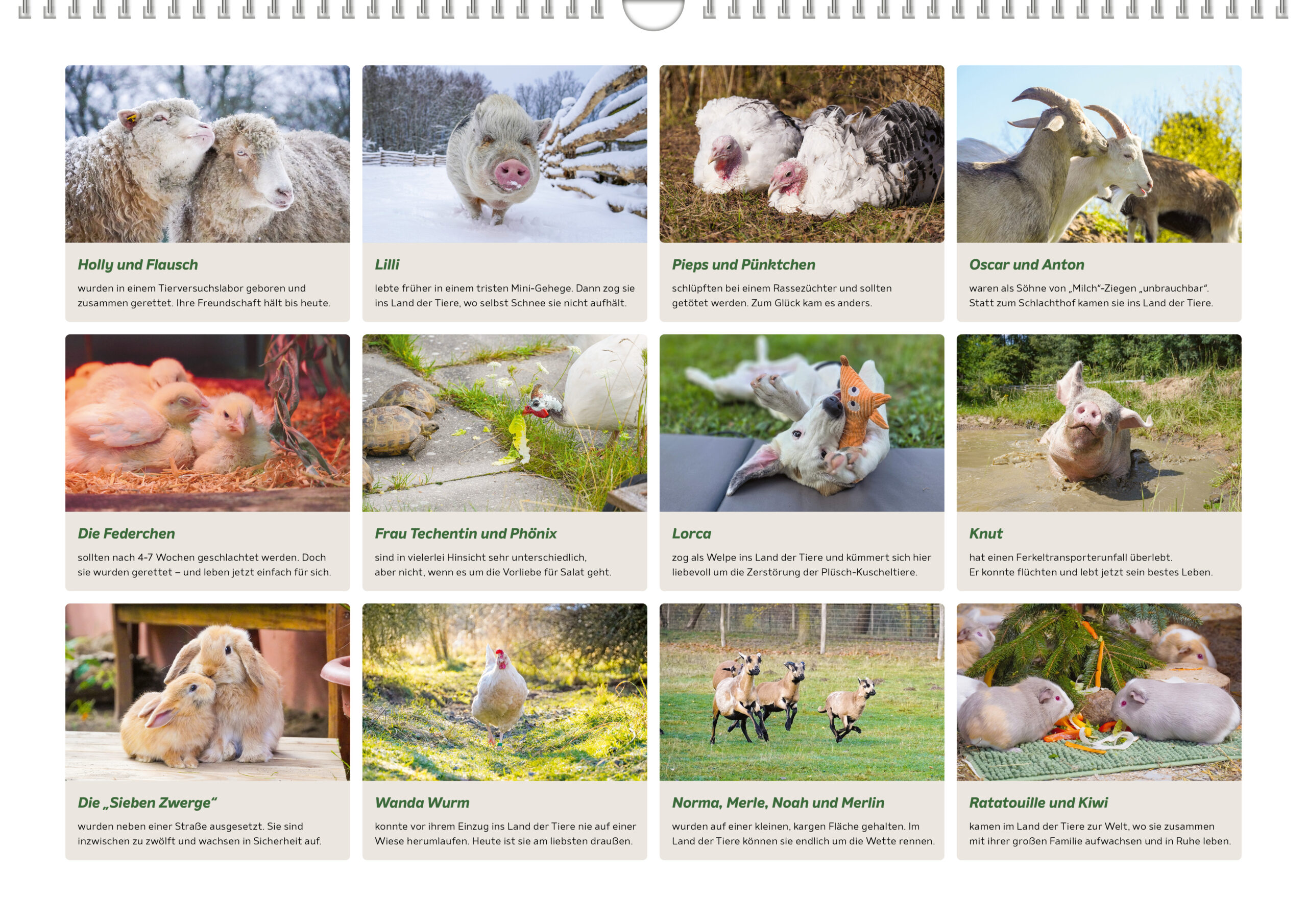Letzte Seite des Kalenders mit einer Übersicht aller Kalenderfotos und Kurzfassungen der Tiergeschichten.